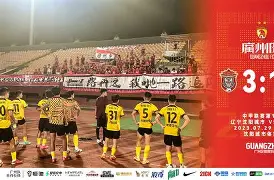 九州娱乐平台-图卢兹客场逼平尼斯，积极寻求保级机会(图卢兹和尼斯的关系)